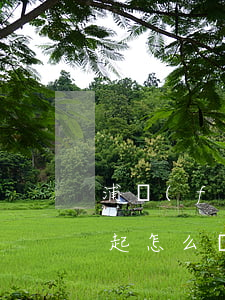 浦發(fā)逾期10天了讓一吹還清,還不起怎么辦，浦發(fā)逾期10天，無力償還，應該采取什么措施？